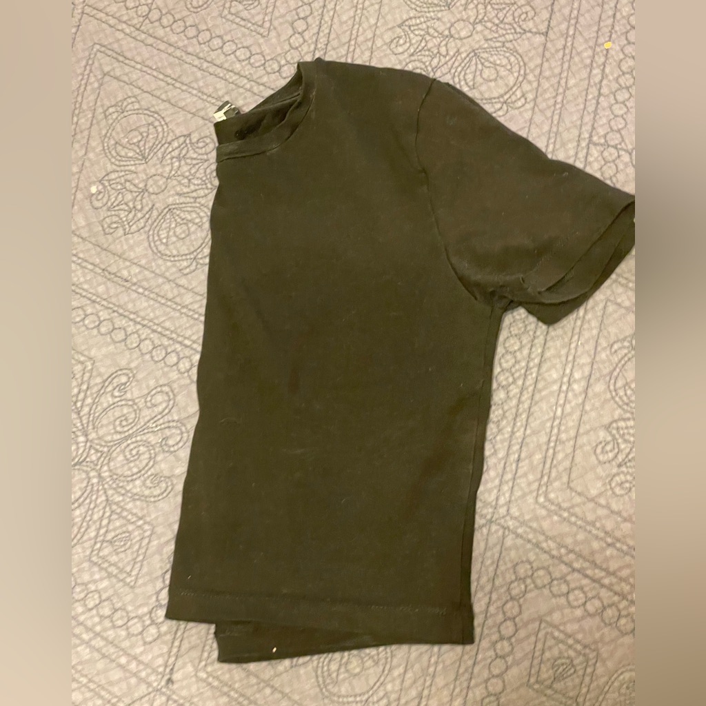 Two Zara Basic Cropped Tees
